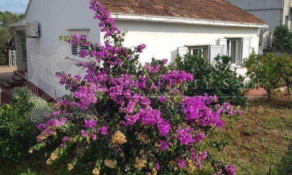 Croatia Korcula house near sea for sale