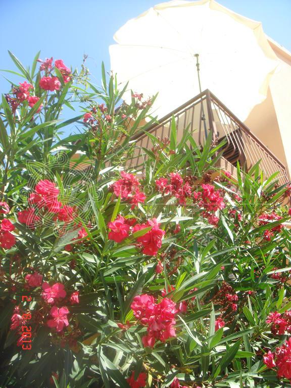 Croatia Sibenik Primosten sea view house for sale