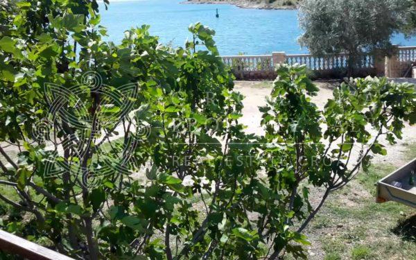 Croatia Zadar area waterfront house for sale in development
