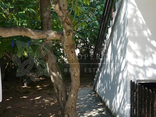 Croatia Peljesac house for sale in greenery