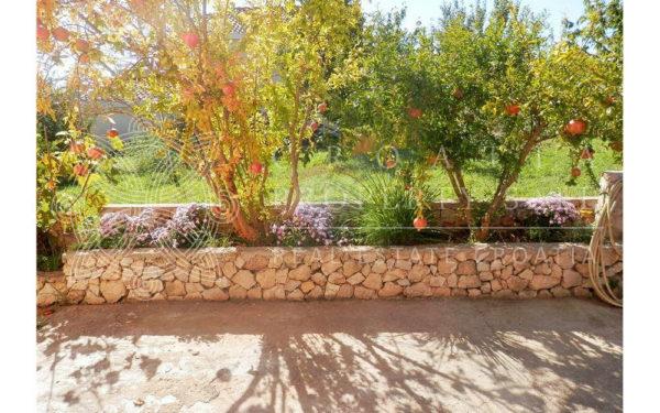 Croatia Sibenik island Prvic waterfront house for sale