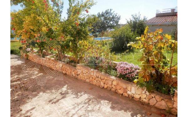 Croatia Sibenik island Prvic waterfront house for sale