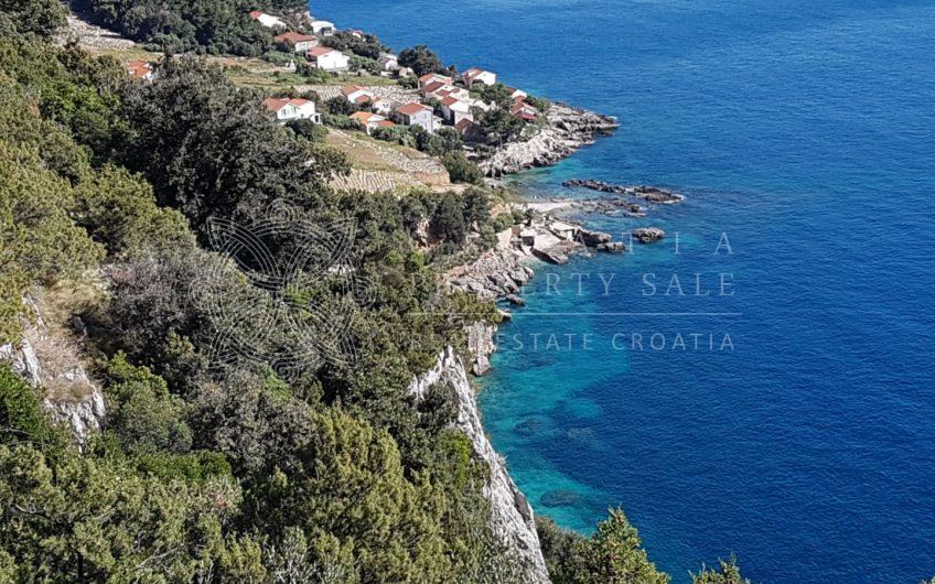 Croatia Dingac Postup large vineyard land for sale