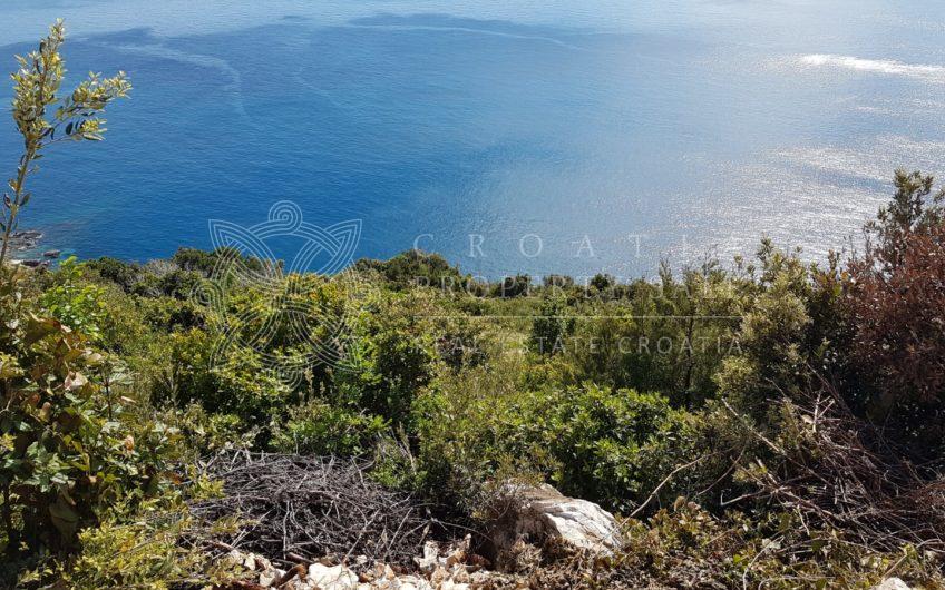 Croatia Dingac Postup large vineyard land for sale