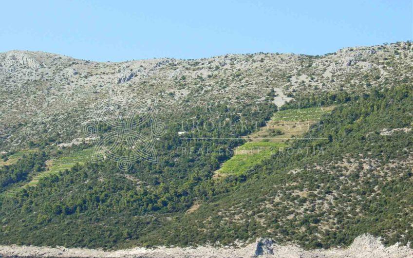 Croatia Peljesac Dingac vineyard land for sale
