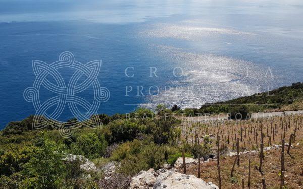 Croatia Peljesac Dingac vineyard land for sale
