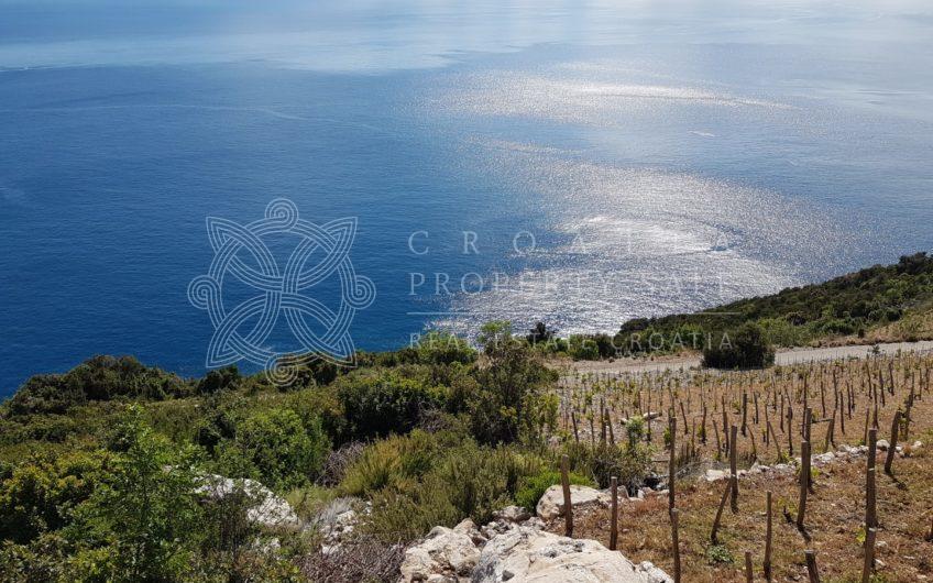 Croatia Peljesac Dingac vineyard land for sale