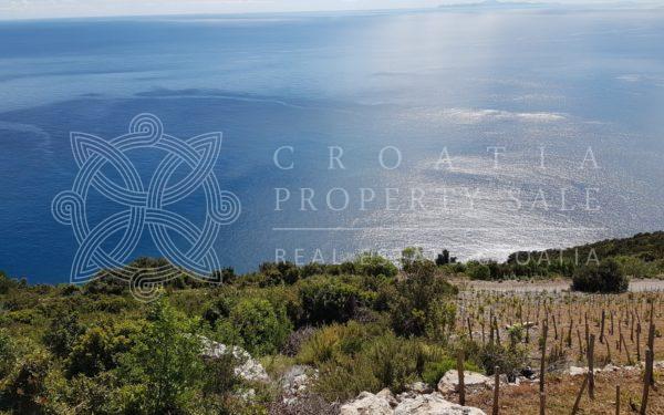 Croatia Peljesac Dingac vineyard land for sale