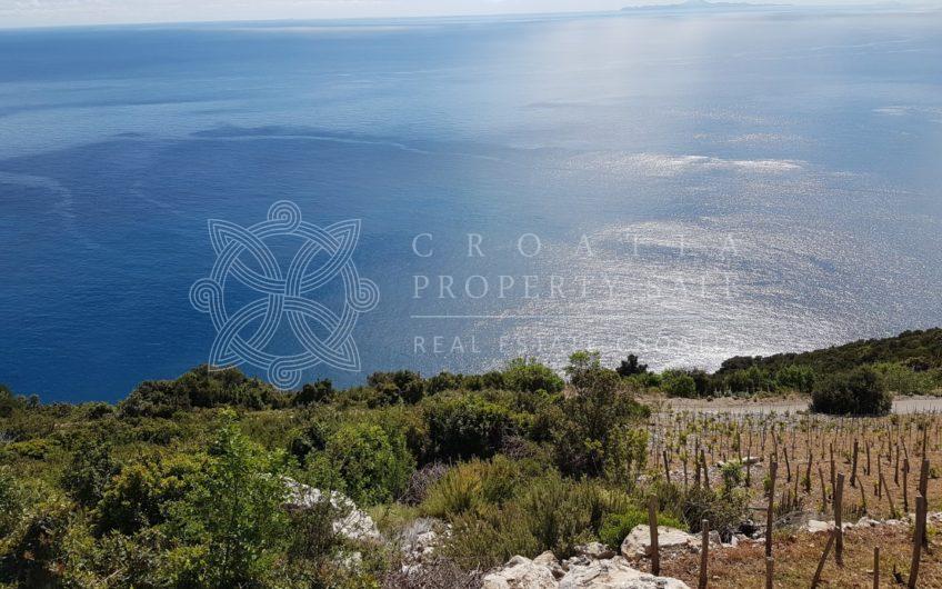 Croatia Peljesac Dingac vineyard land for sale