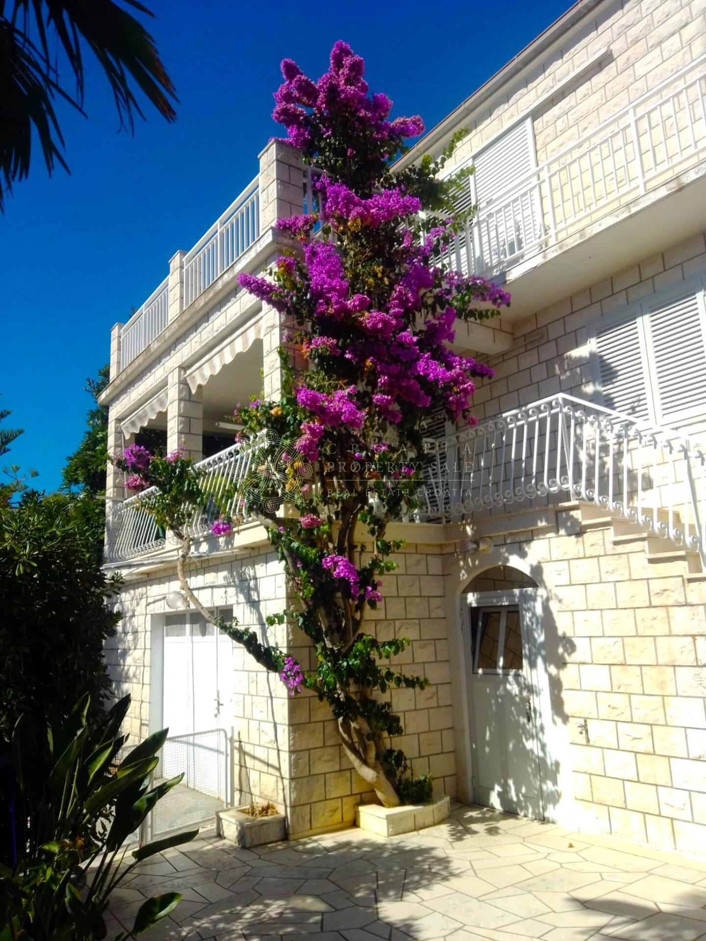 Croatia Korcula island amazing house for sale by the sea